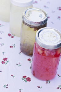 how to make water kefir